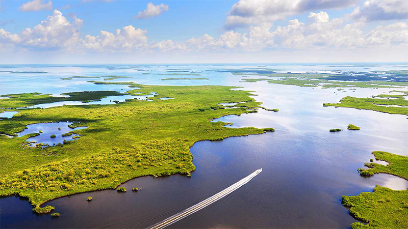 Beach to Everglades Tour